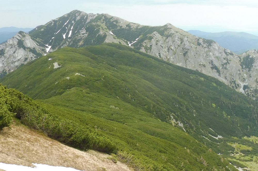 Kytičkový zájezd do pohoří Vilcan a Malý Retezat v Rumunsku