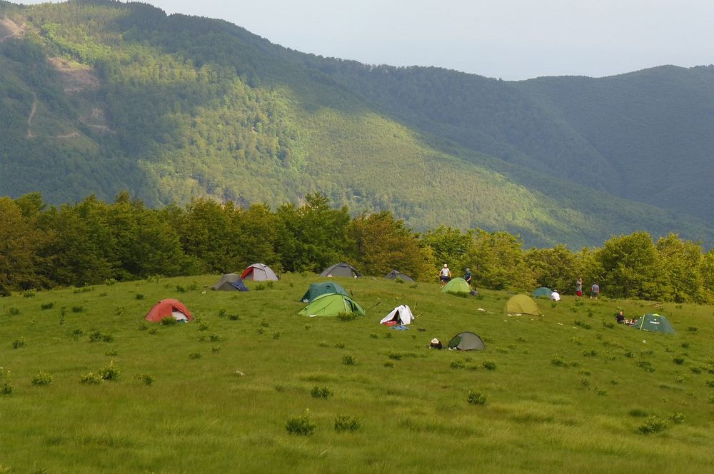 Kytičkový zájezd do pohoří Vilcan a Malý Retezat v Rumunsku