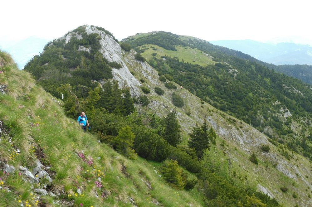 Kytičkový zájezd do pohoří Vilcan a Malý Retezat v Rumunsku