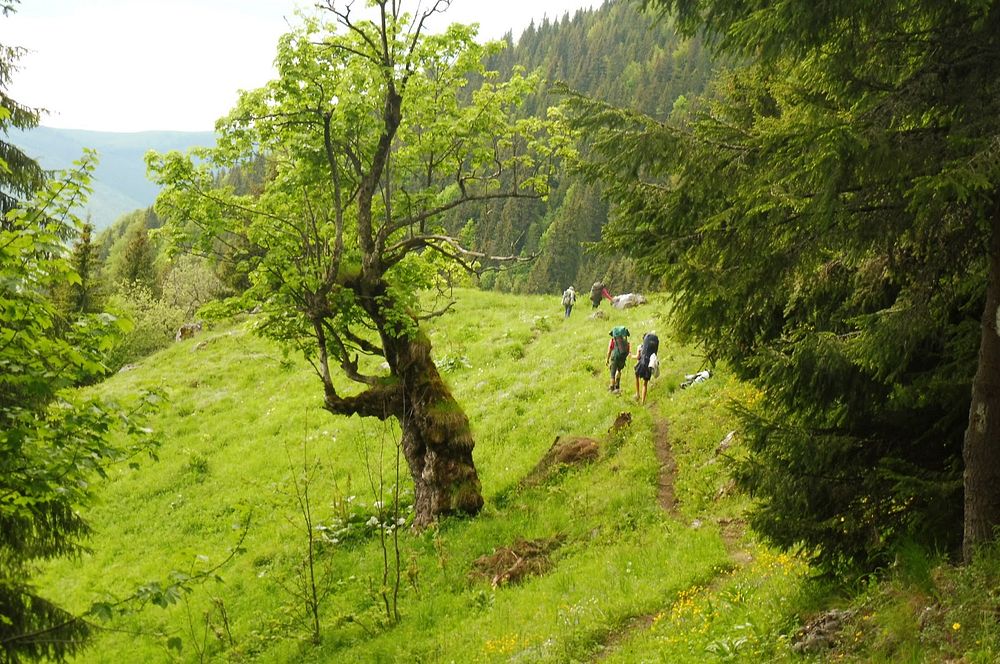 Kytičkový zájezd do pohoří Vilcan a Malý Retezat v Rumunsku