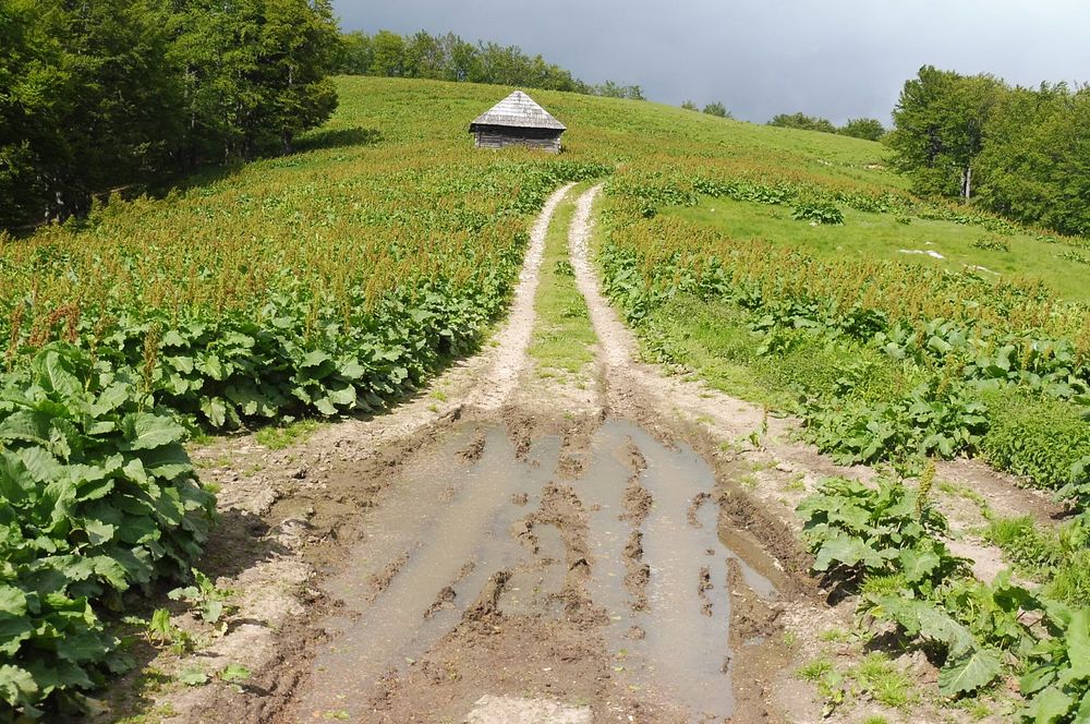 Kytičkový zájezd do pohoří Vilcan a Malý Retezat v Rumunsku
