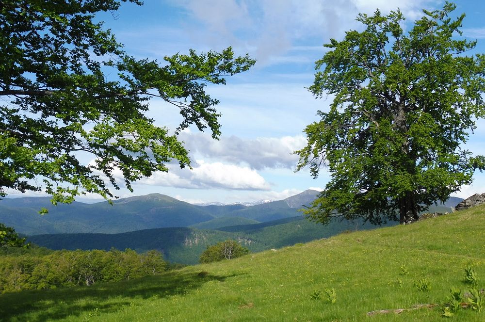 Kytičkový zájezd do pohoří Vilcan a Malý Retezat v Rumunsku