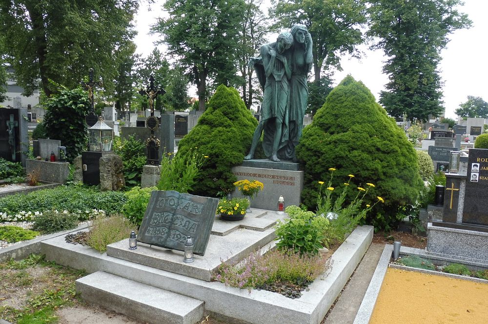  Údolím říčky Rokytné 