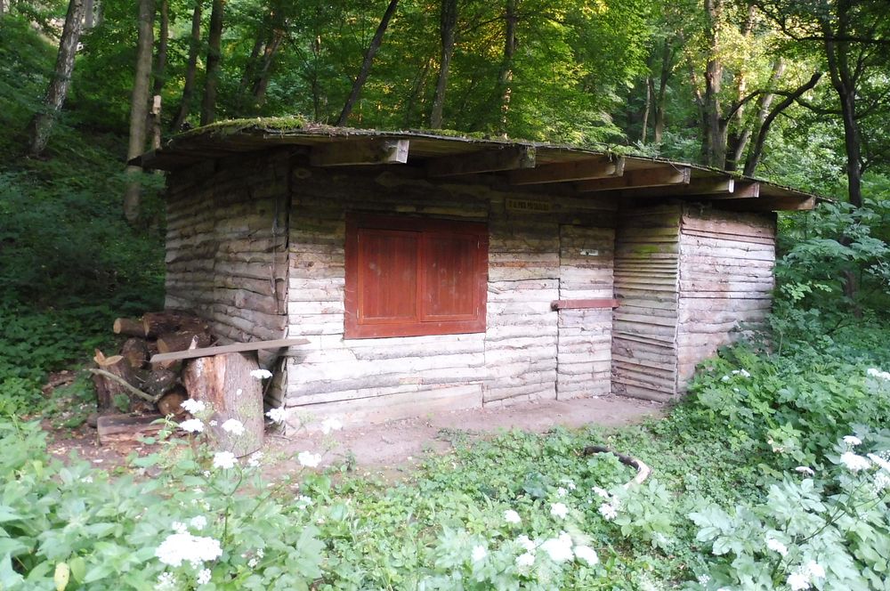  Údolím říčky Rokytné 