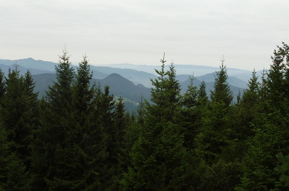 Chočské vrchy