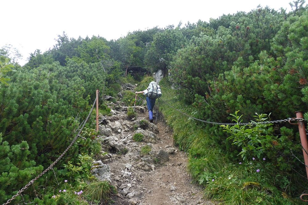 Chočské vrchy