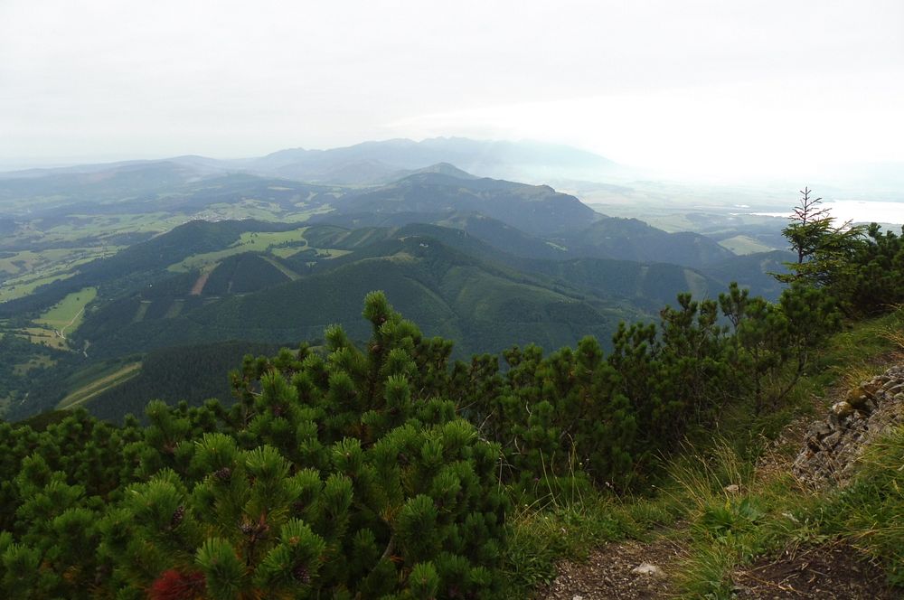 Chočské vrchy
