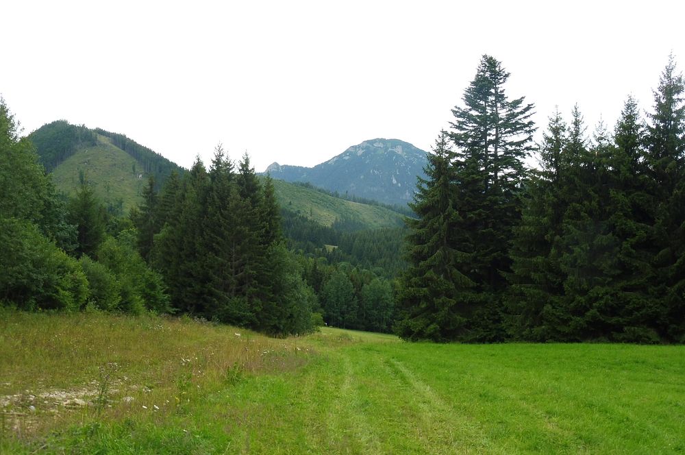 Chočské vrchy