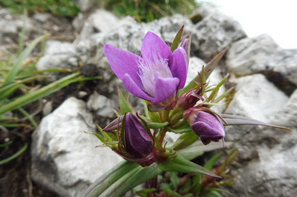 Chočské vrchy