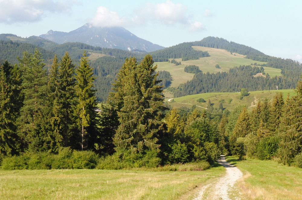 Chočské vrchy