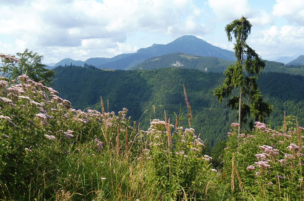 Chočské vrchy