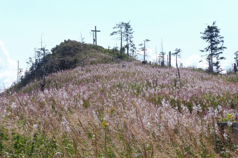 Chočské vrchy