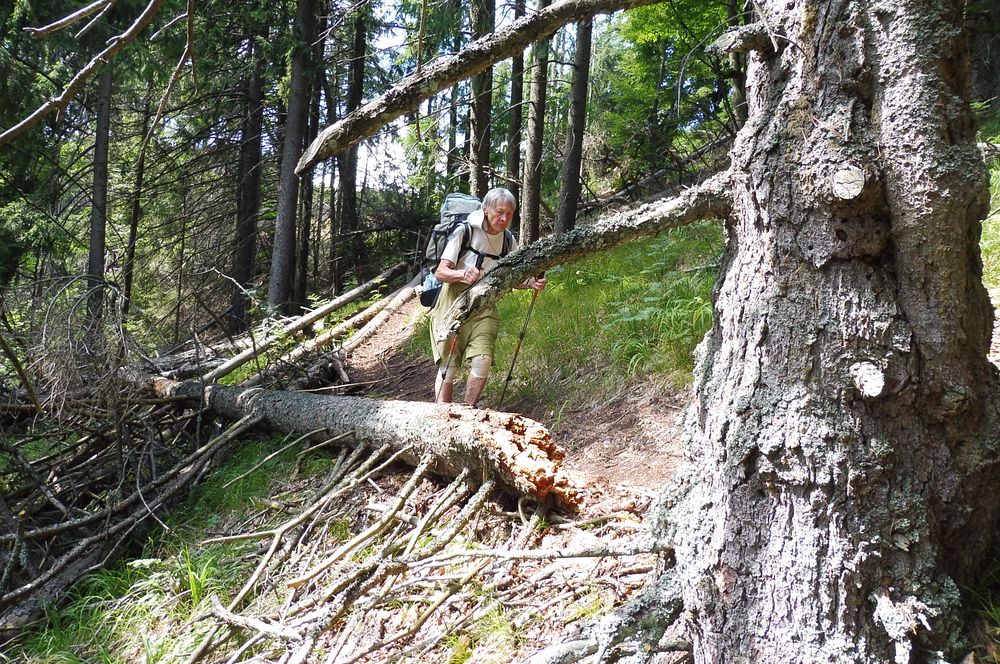 Chočské vrchy