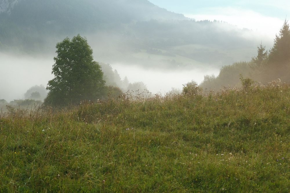 Chočské vrchy