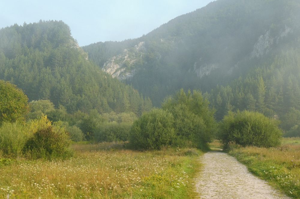 Chočské vrchy