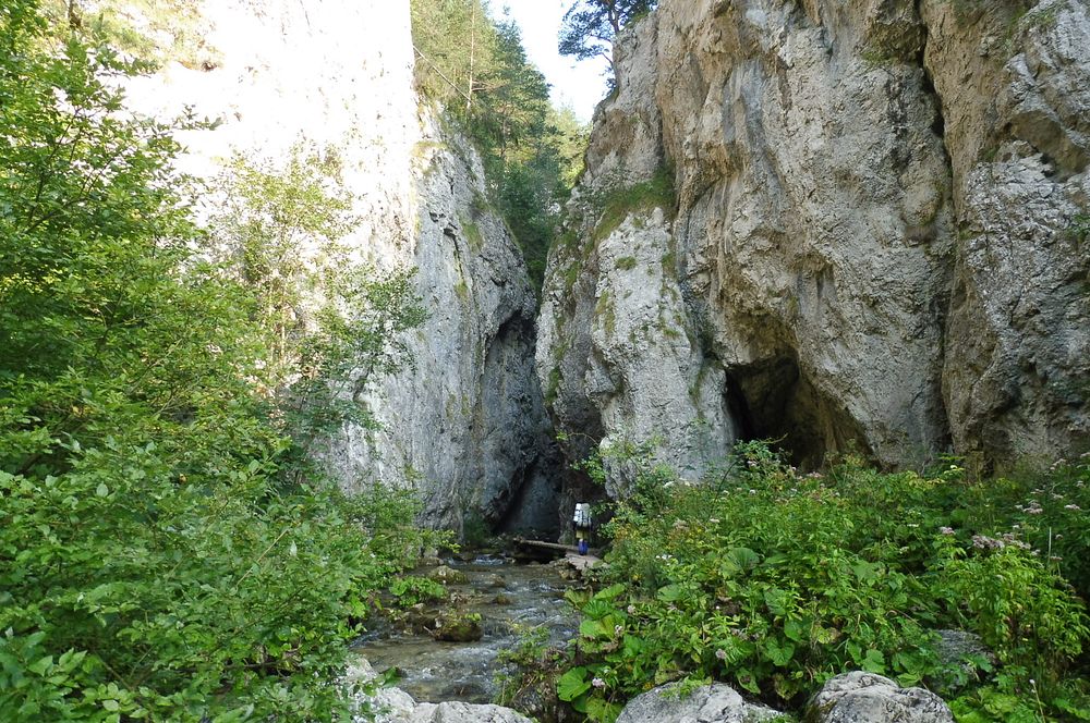 Chočské vrchy