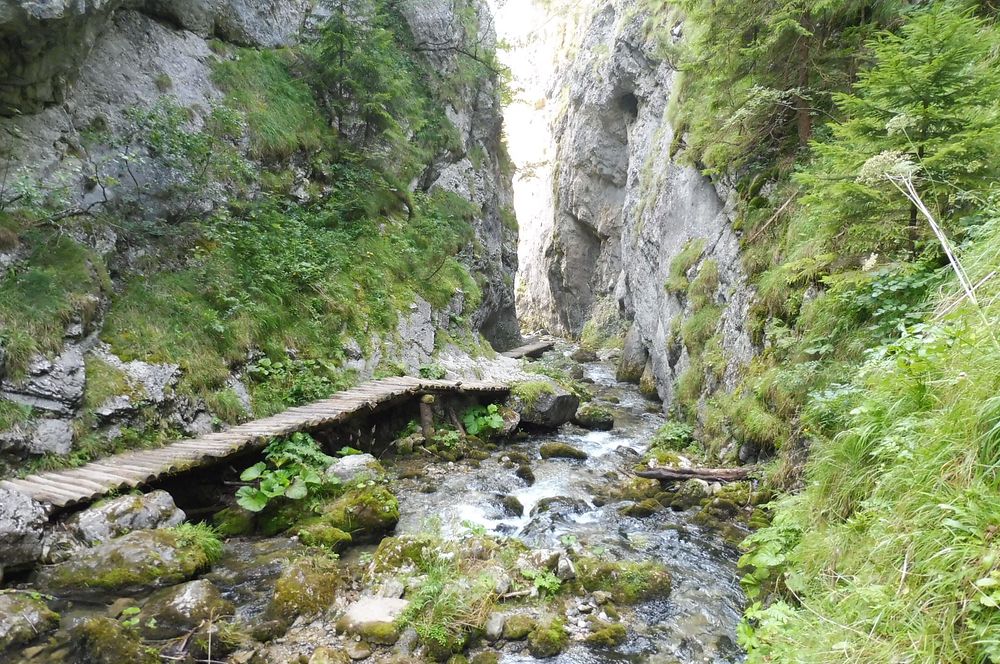 Chočské vrchy
