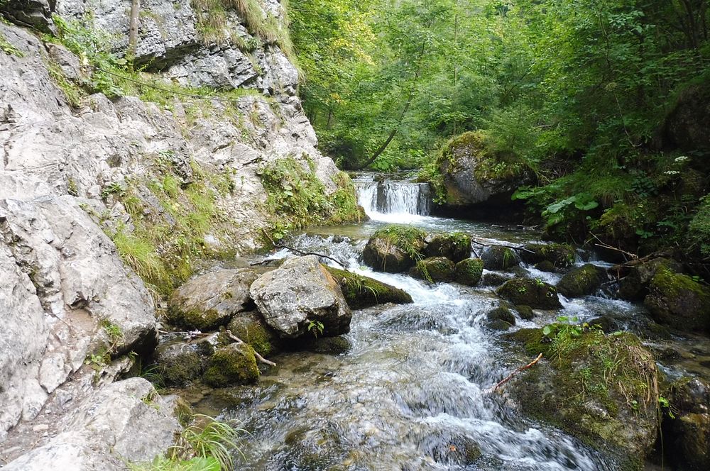Chočské vrchy