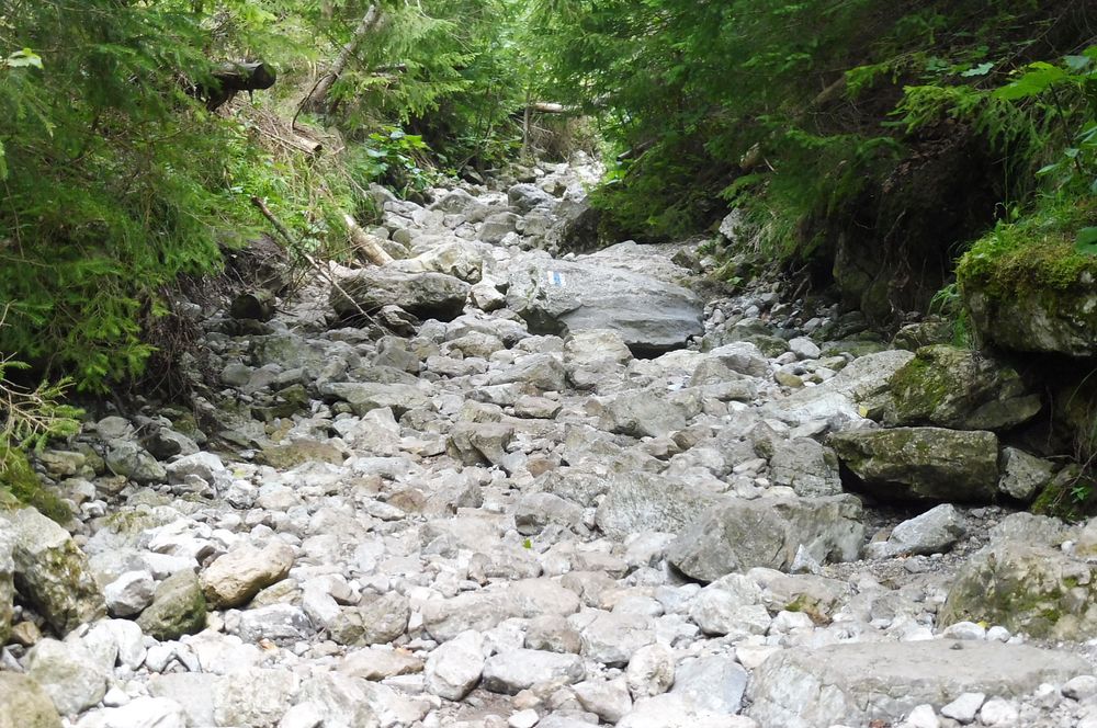 Chočské vrchy