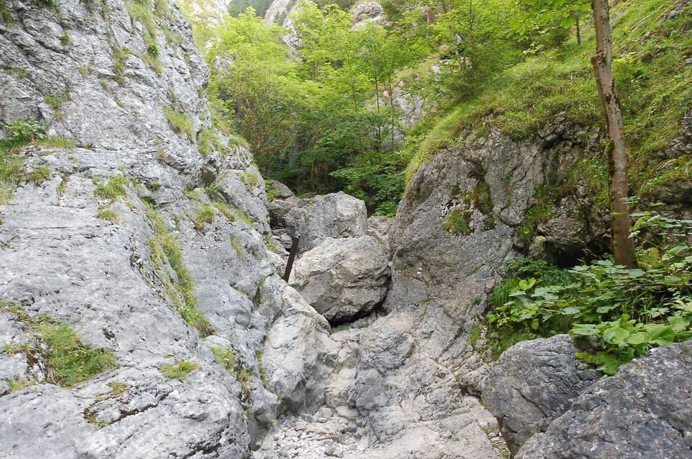 Chočské vrchy
