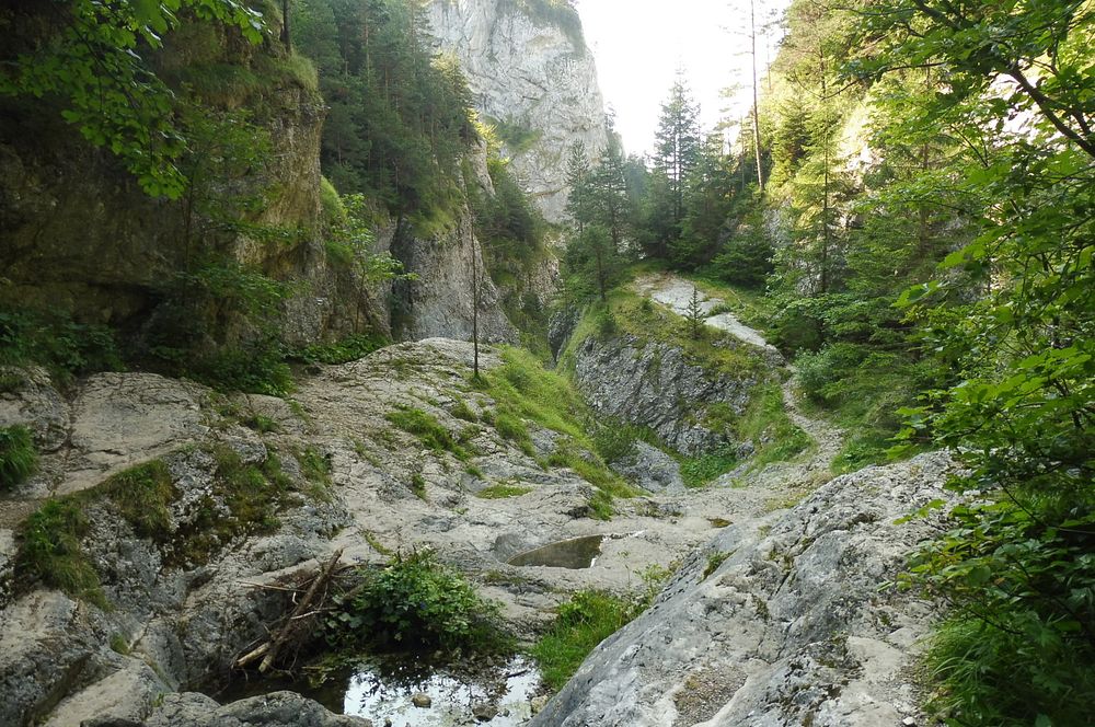 Chočské vrchy