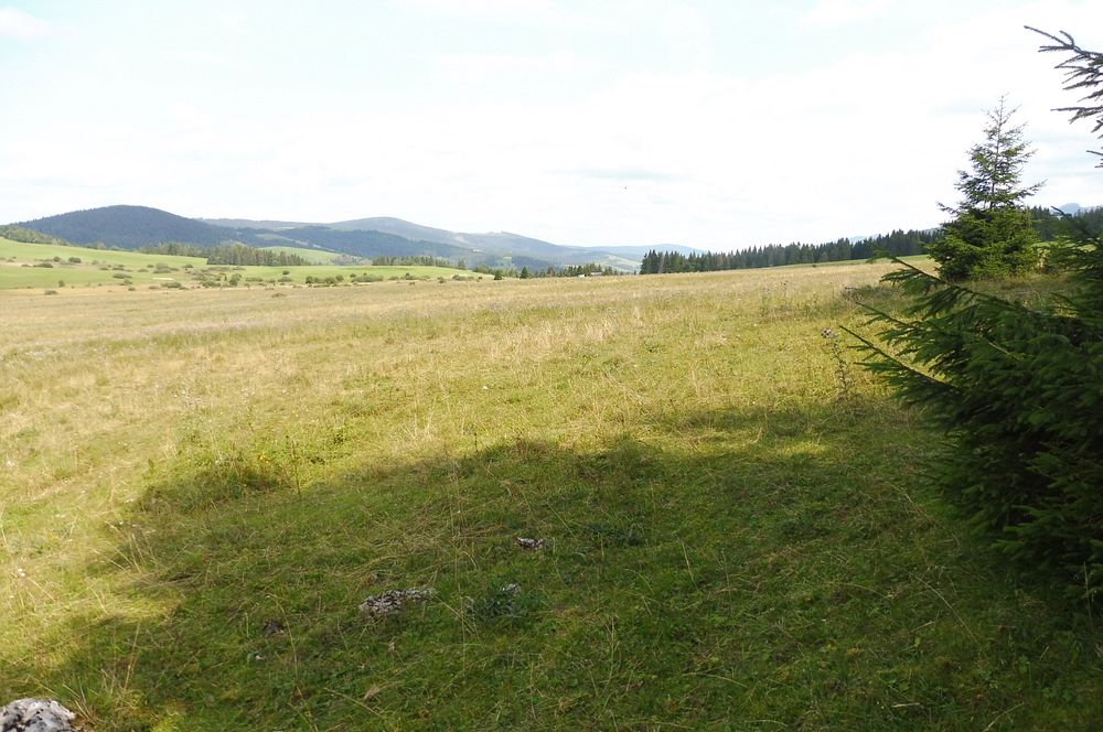 Chočské vrchy