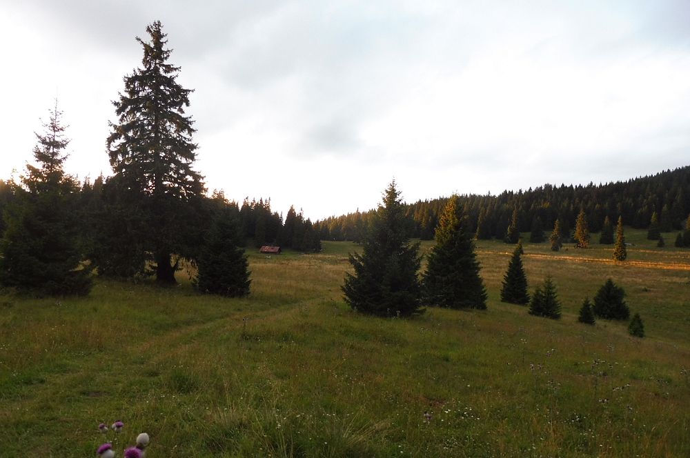 Chočské vrchy