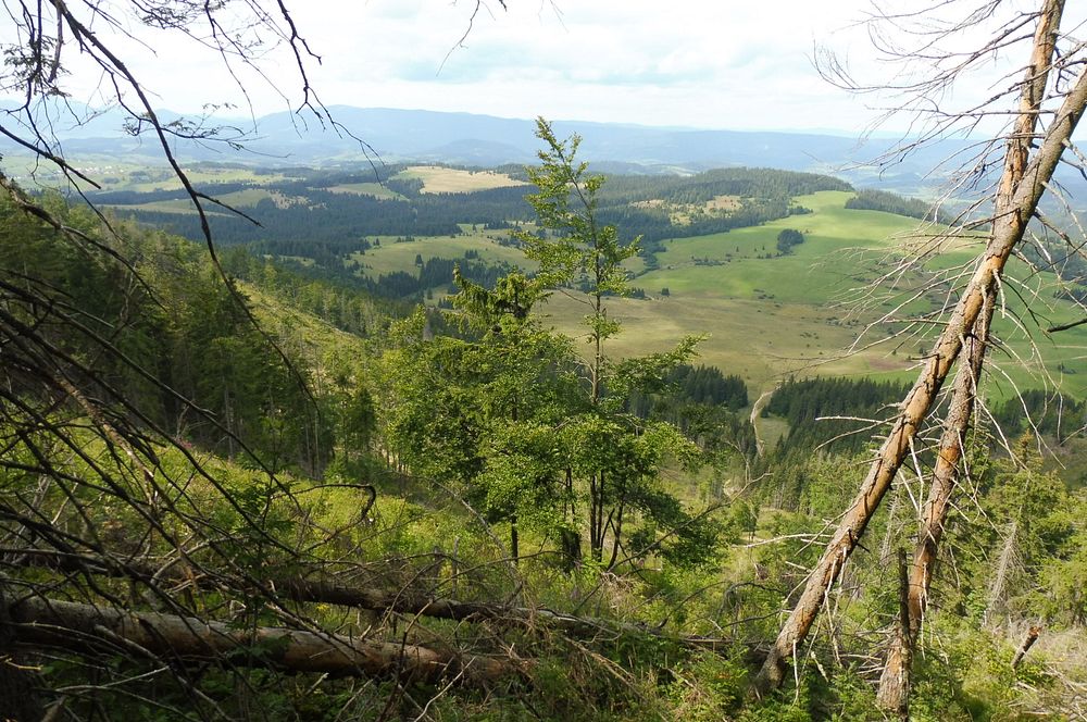 Chočské vrchy