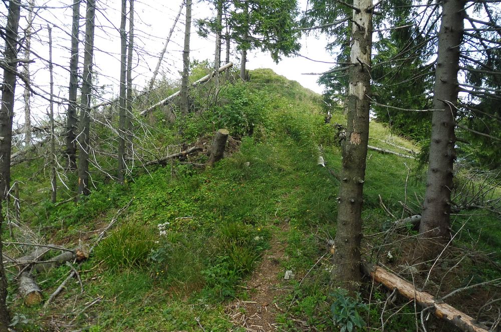 Chočské vrchy