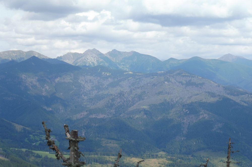 Chočské vrchy