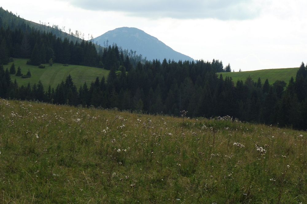 Chočské vrchy
