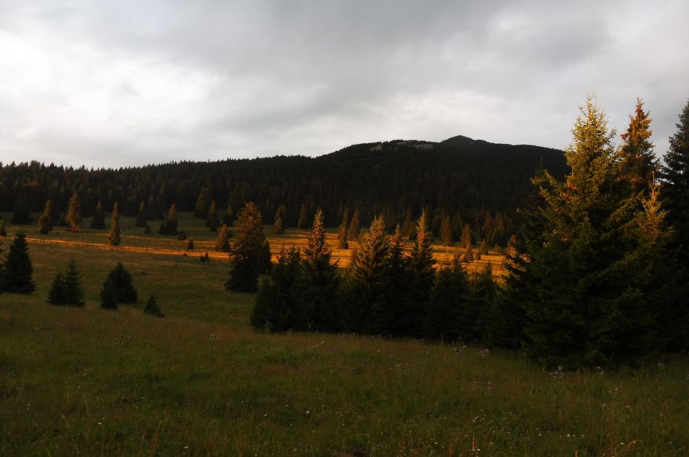 Chočské vrchy
