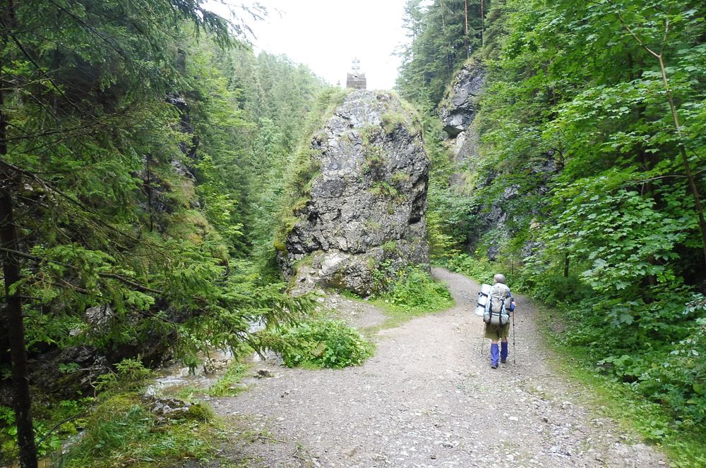 Chočské vrchy