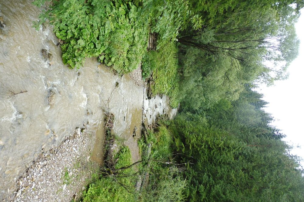 Chočské vrchy