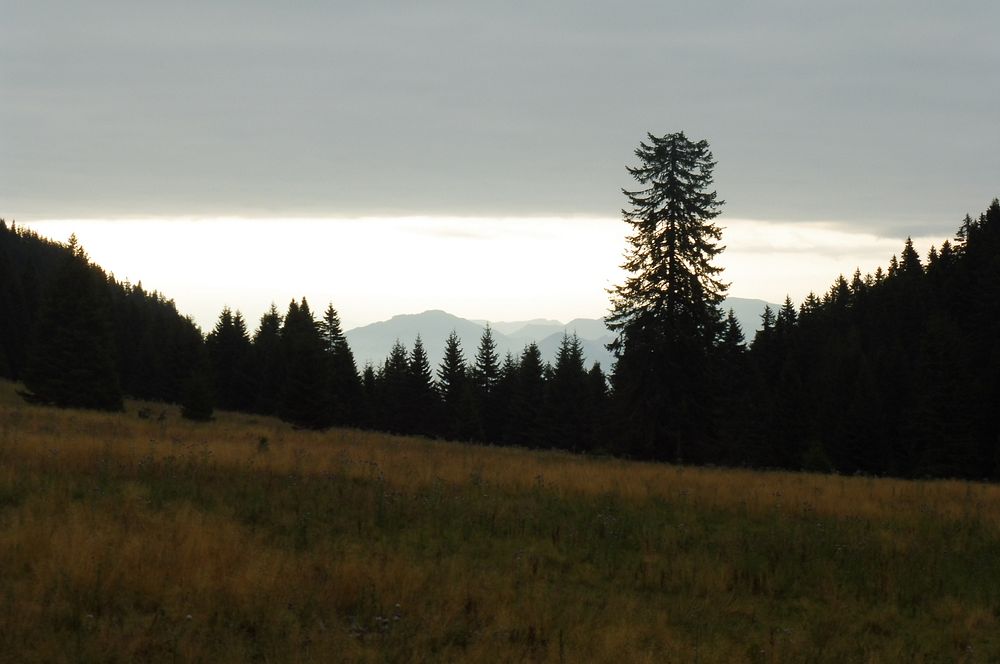 Chočské vrchy