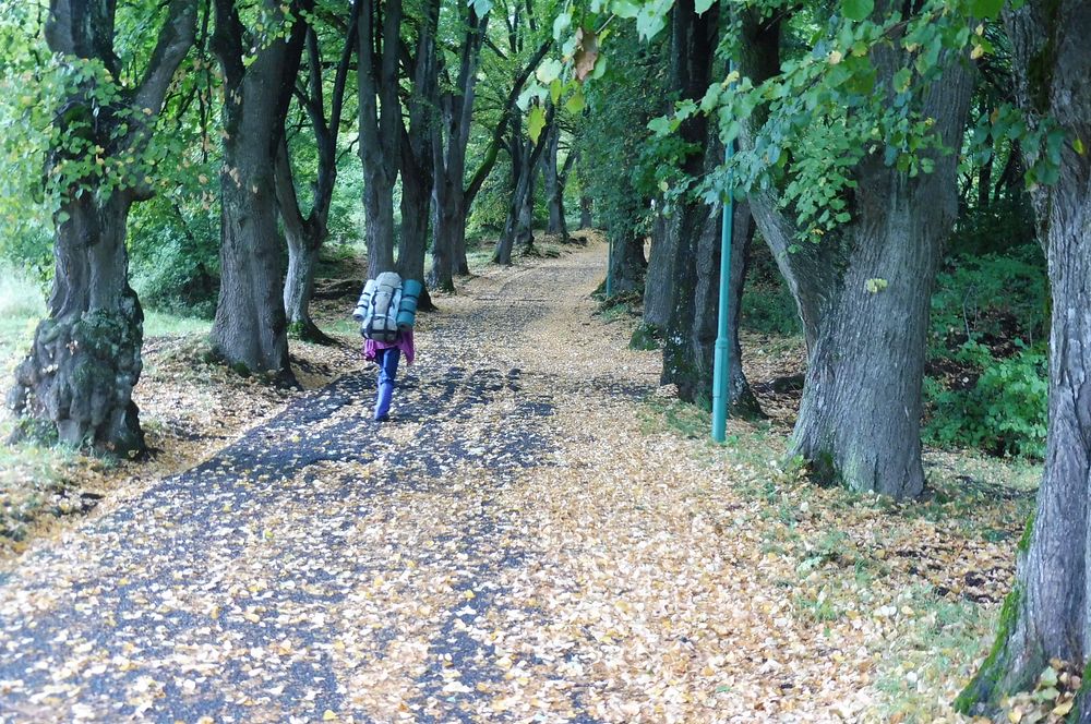  Levočské vrchy a Branisko 