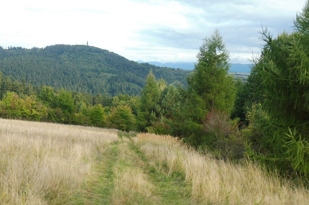  Levočské vrchy a Branisko 
