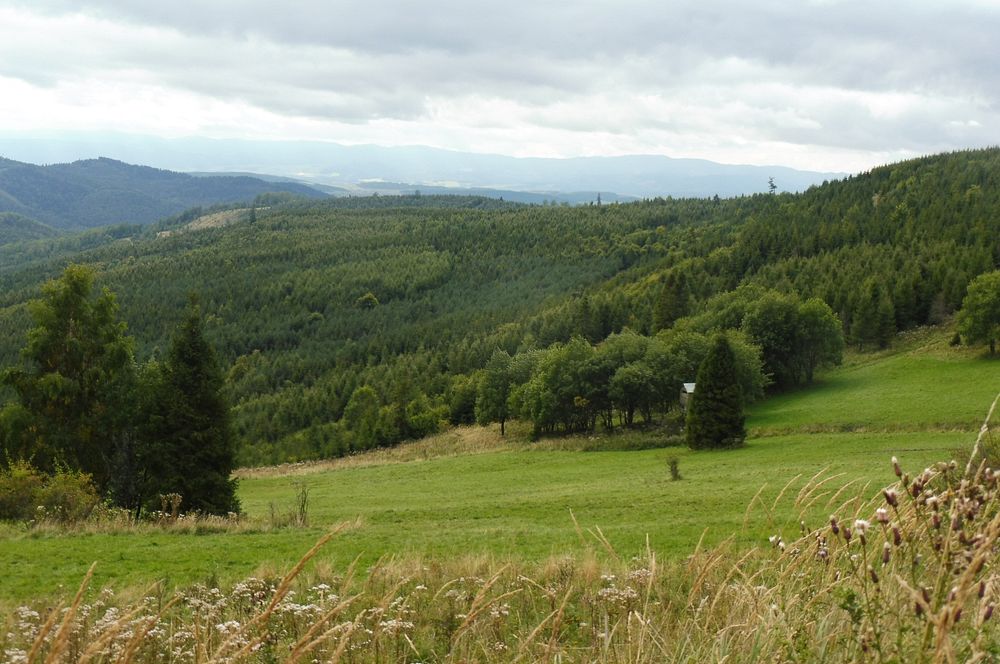  Levočské vrchy a Branisko 