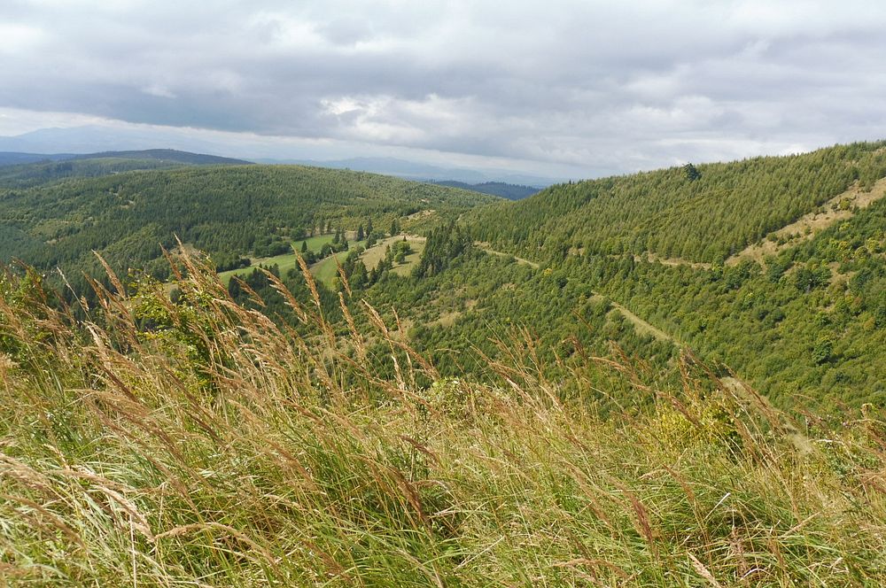  Levočské vrchy a Branisko 