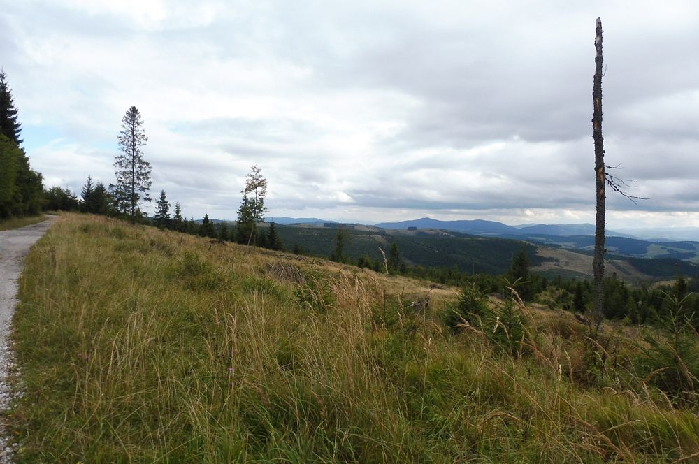  Levočské vrchy a Branisko 