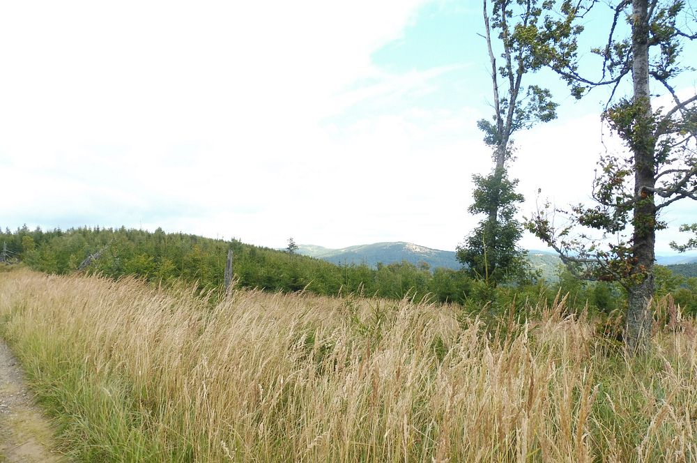  Levočské vrchy a Branisko 