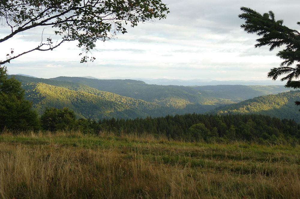  Levočské vrchy a Branisko 