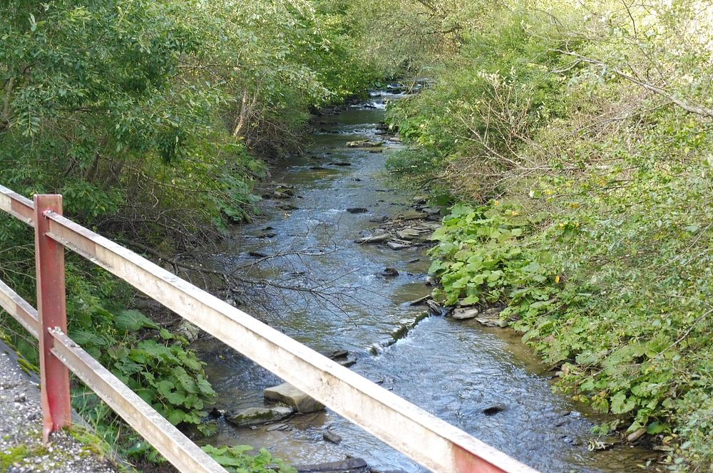  Levočské vrchy a Branisko 