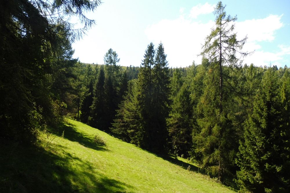  Levočské vrchy a Branisko 