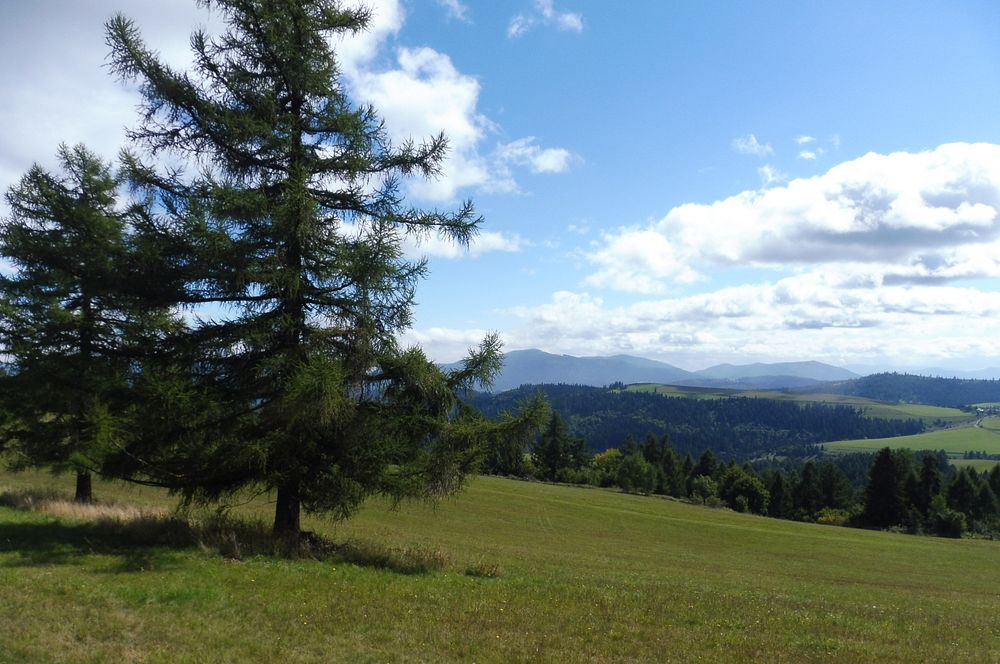  Levočské vrchy a Branisko 