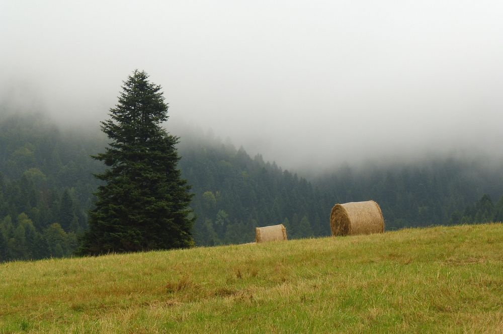  Levočské vrchy a Branisko 