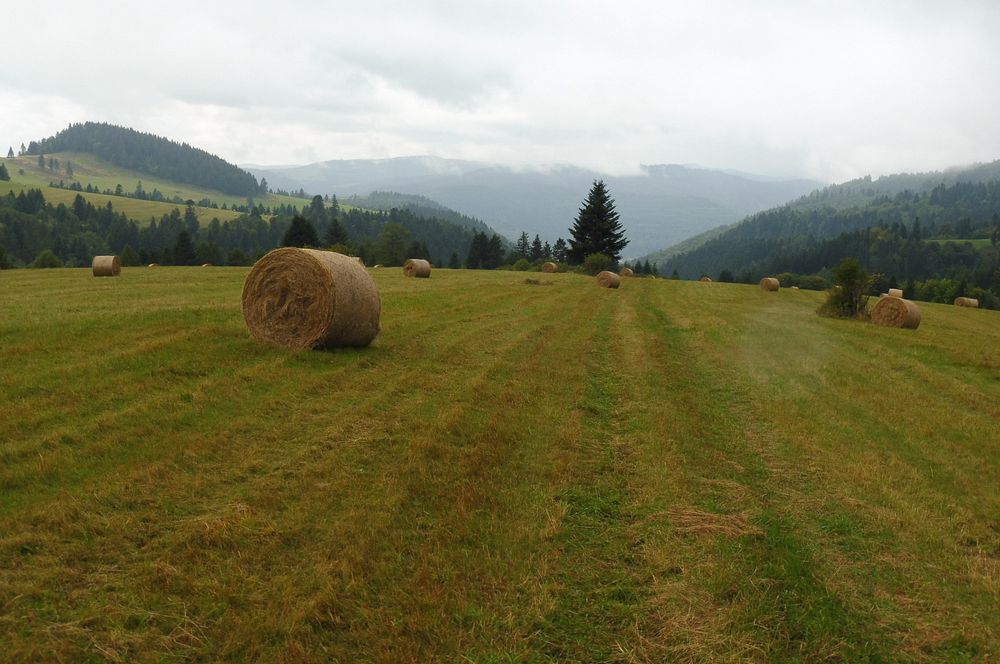  Levočské vrchy a Branisko 