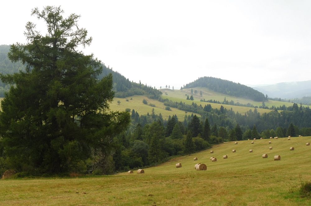  Levočské vrchy a Branisko 