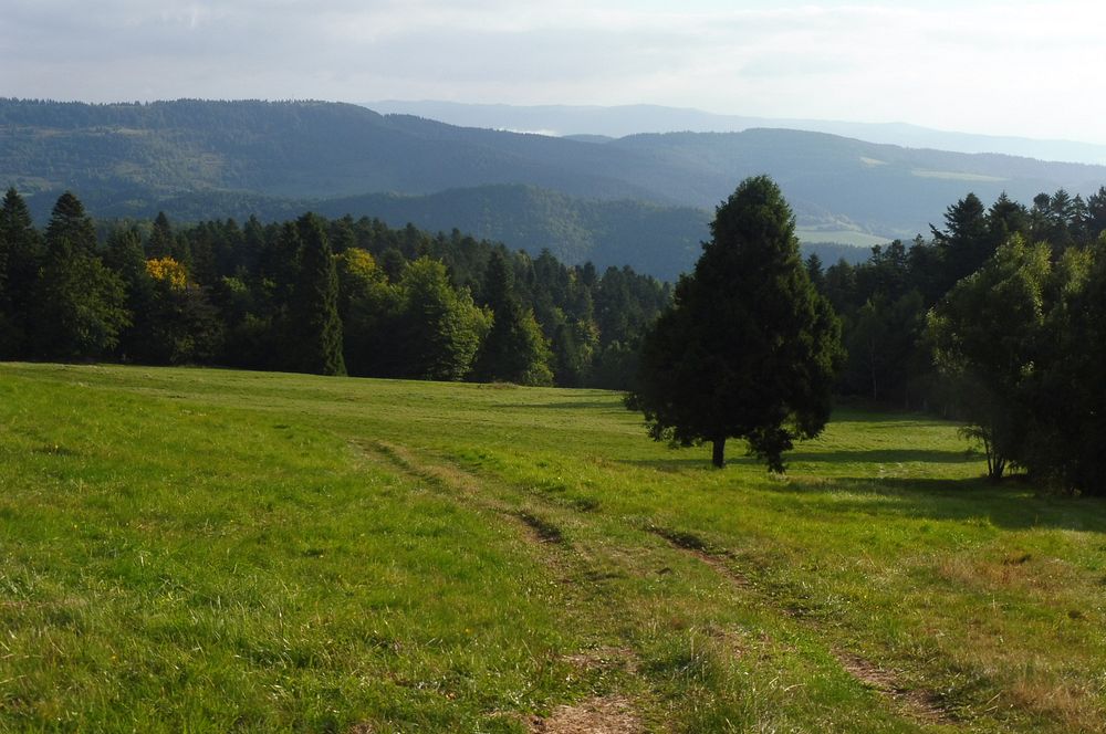  Levočské vrchy a Branisko 