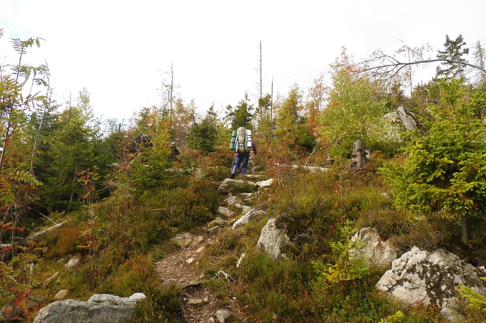 Levočské vrchy a Branisko 